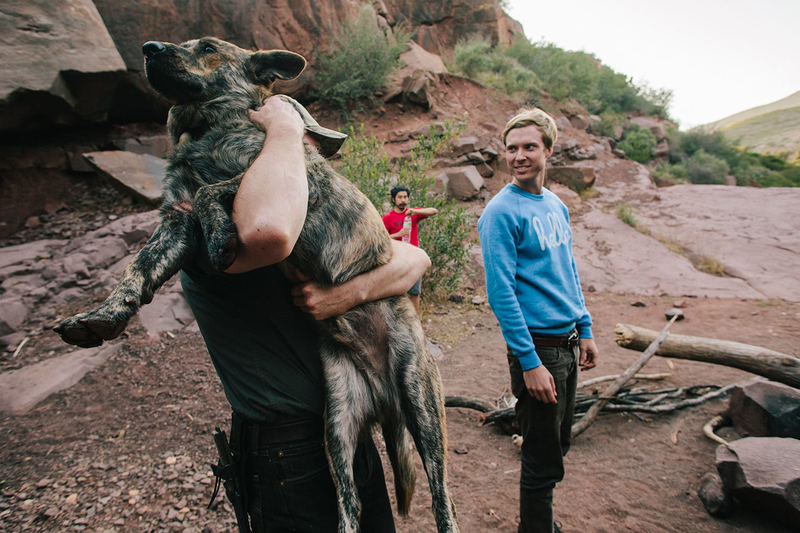 Illustration for article titled How To Take Your Dog Camping